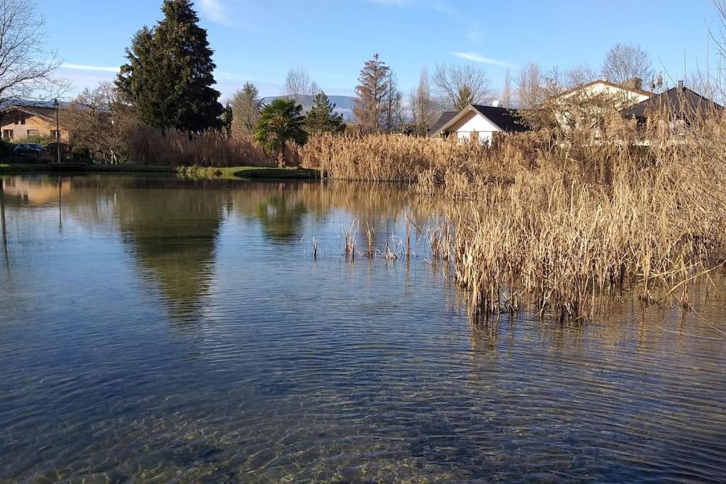 La Dependance Du Chateau De Triviers. Challes-les-Eaux Buitenkant foto